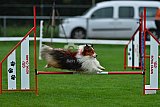 Royal Canin Masters 2025 geldrop