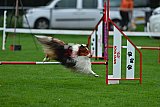 Royal Canin Masters 2025 geldrop