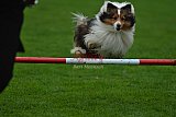 Royal Canin Masters 2025 geldrop