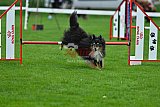 Royal Canin Masters 2025 geldrop