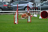 Royal Canin Masters 2025 geldrop