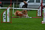 Royal Canin Masters 2025 geldrop