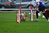Royal Canin Masters 2025 geldrop