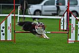Royal Canin Masters 2025 geldrop