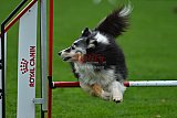 Royal Canin Masters 2025 geldrop