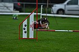 Royal Canin Masters 2025 geldrop