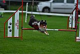 Royal Canin Masters 2025 geldrop