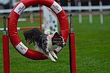Royal Canin Masters 2025 geldrop