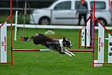 Royal Canin Masters 2025 geldrop