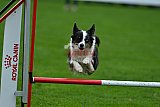 Royal Canin Masters 2025 geldrop