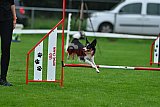 Royal Canin Masters 2025 geldrop