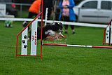 Royal Canin Masters 2025 geldrop
