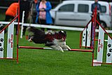 Royal Canin Masters 2025 geldrop