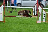 Royal Canin Masters 2025 geldrop