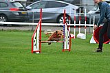 Royal Canin Masters 2025 geldrop