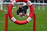 Royal Canin Masters 2025 geldrop