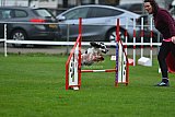 Royal Canin Masters 2025 geldrop