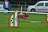 Royal Canin Masters 2025 geldrop