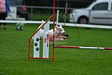Royal Canin Masters 2025 geldrop