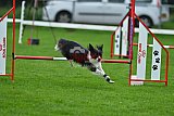 Royal Canin Masters 2025 geldrop