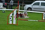 Royal Canin Masters 2025 geldrop