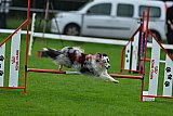 Royal Canin Masters 2025 geldrop