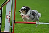 Royal Canin Masters 2025 geldrop