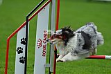 Royal Canin Masters 2025 geldrop
