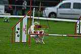 Royal Canin Masters 2025 geldrop