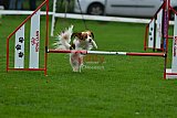Royal Canin Masters 2025 geldrop