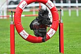Royal Canin Masters 2025 geldrop