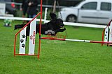 Royal Canin Masters 2025 geldrop