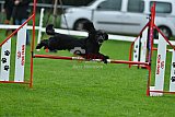 Royal Canin Masters 2025 geldrop