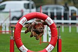 Royal Canin Masters 2025 geldrop