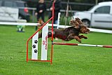 Royal Canin Masters 2025 geldrop