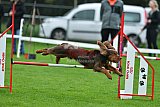 Royal Canin Masters 2025 geldrop