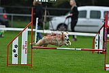 Royal Canin Masters 2025 geldrop