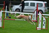 Royal Canin Masters 2025 geldrop