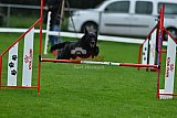 Royal Canin Masters 2025 geldrop