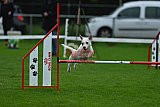 Royal Canin Masters 2025 geldrop