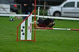 Royal Canin Masters 2025 geldrop