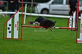 Royal Canin Masters 2025 geldrop