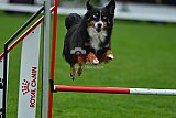 Royal Canin Masters 2025 geldrop