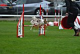 Royal Canin Masters 2025 geldrop