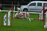 Royal Canin Masters 2025 geldrop