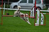 Royal Canin Masters 2025 geldrop
