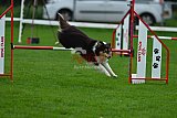 Royal Canin Masters 2025 geldrop
