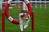 Royal Canin Masters 2025 geldrop