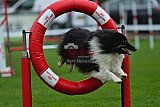Royal Canin Masters 2025 geldrop