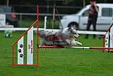 Royal Canin Masters 2025 geldrop